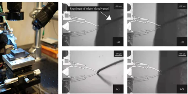 Navitar顯微成像鏡頭 (1).jpg